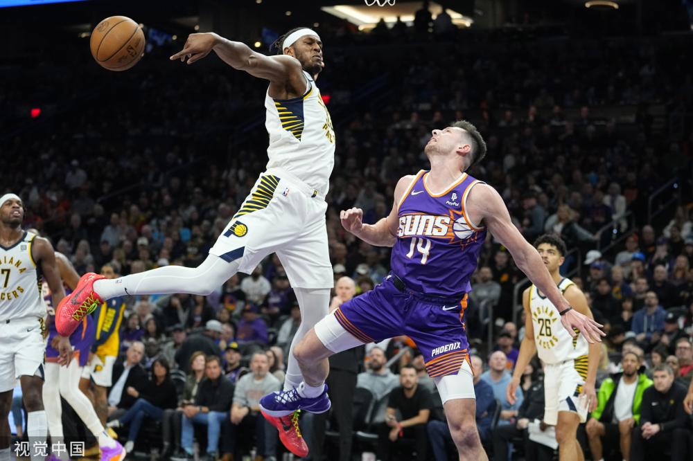 森林狼的多 森林狼的多